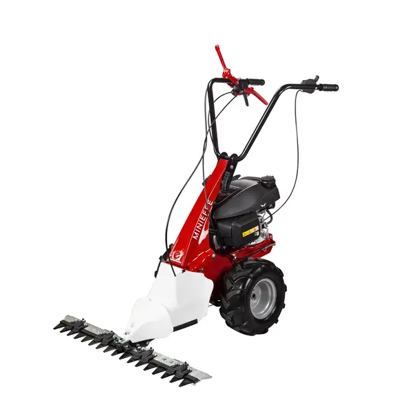 eurosystems Mehrzweckgerät M150 RG (MINIEFFE) (B&S) - nur Grundgerät