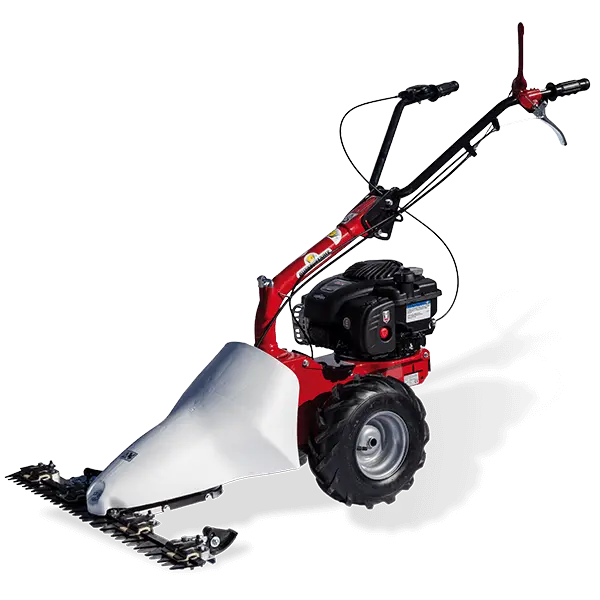 eurosystems Mehrzweckgerät M210 (B&S) - nur Grundgerät